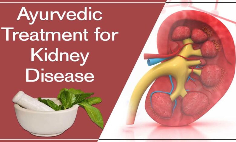 Ayurvedic treatment for Kidney function