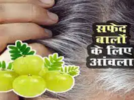 Can Amla cure gray hair?
