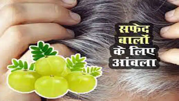 Can Amla cure gray hair?