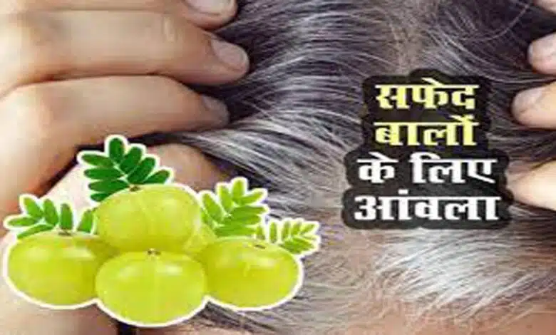 Can Amla cure gray hair?