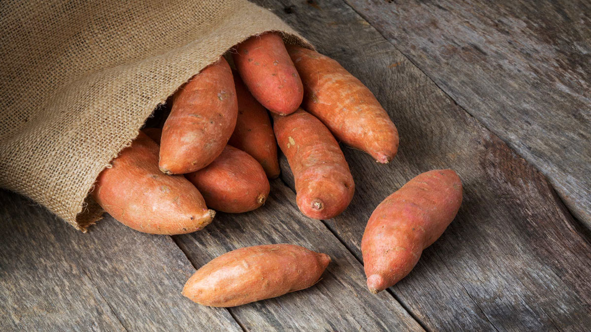 Does Sweet potato increase blood