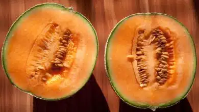 Eating Muskmelon in summer is like nectar