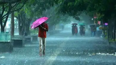 Estimated monsoon to arrive in Kerala 2 days ago IMD