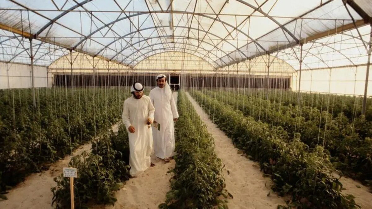 Food Innovation Hub UAE An effort to increase food production 1