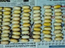 Foreign national arrested in case of cocaine worth 15 Cr in Mumbai