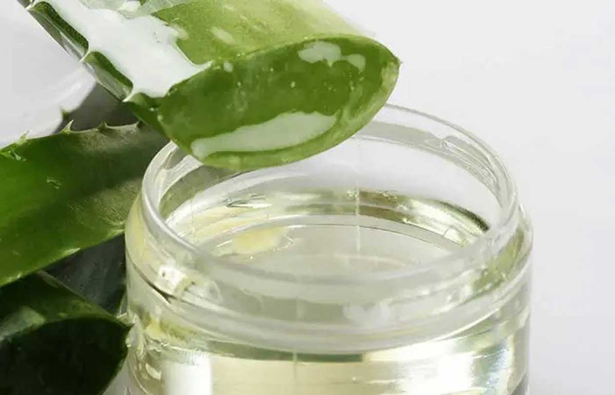 Hair mask Prepare this hair mask with just 2 ingredients to fight hair problems
