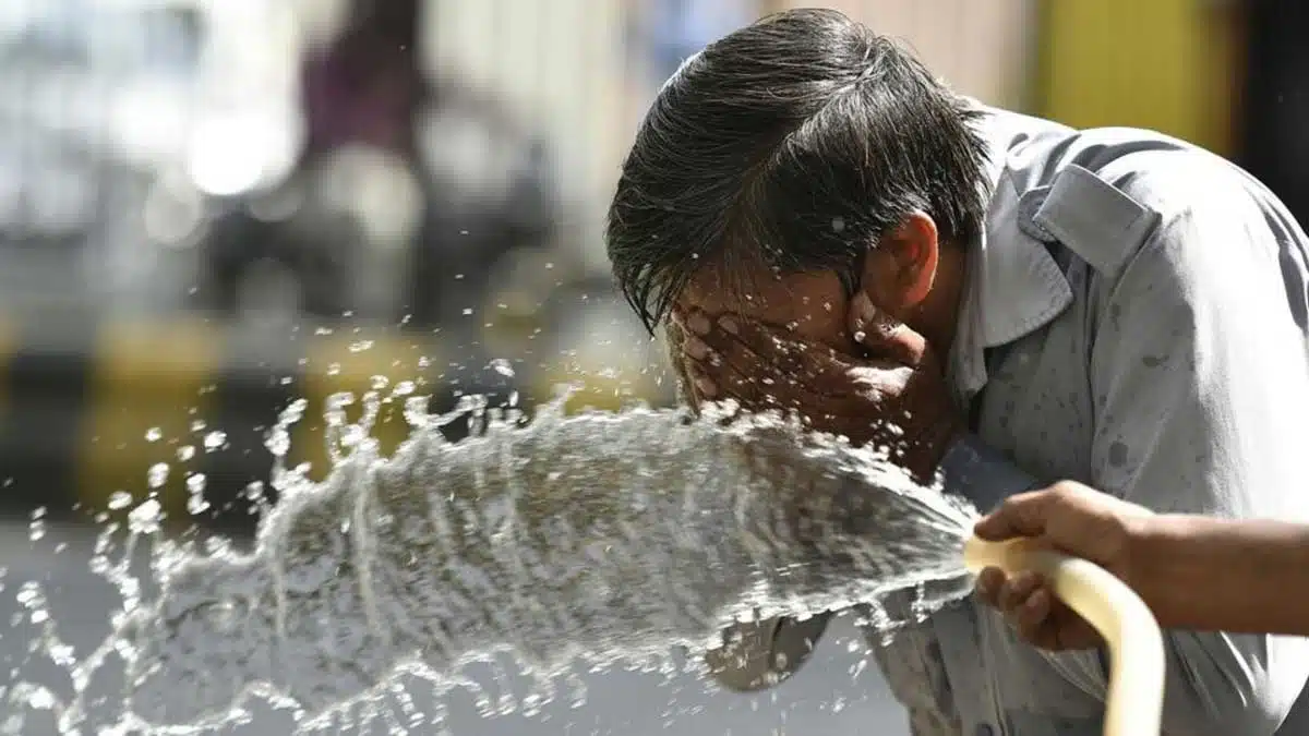 Heat wave will continue in Rajasthan for next 4-5 days Regional Meteorological Department