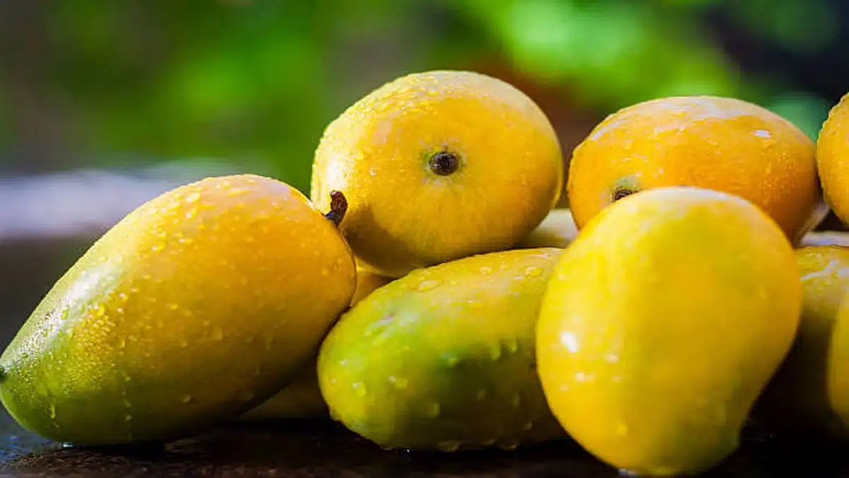 How to preserve ripe mango for a long time