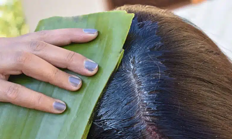 How to use aloe vera in Hair