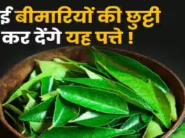 In which disease are curry leaves useful