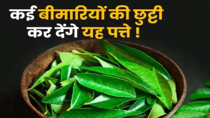 In which disease are curry leaves useful