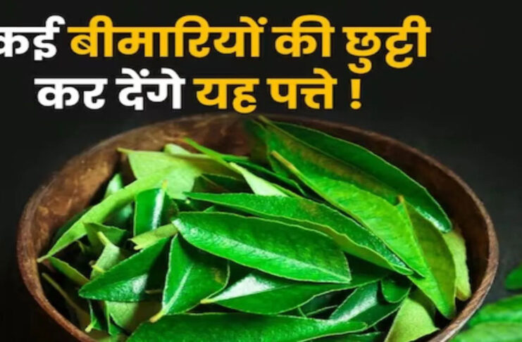 In which disease are curry leaves useful