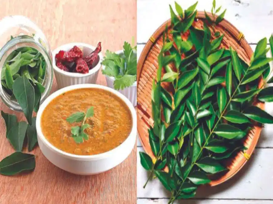 In which disease are curry leaves useful 5