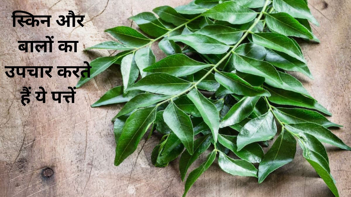 In which disease are curry leaves useful