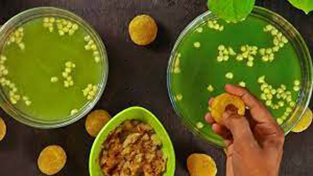 Make Pani Puri water in many flavours. Make Pani Puri water in 5 different flavours