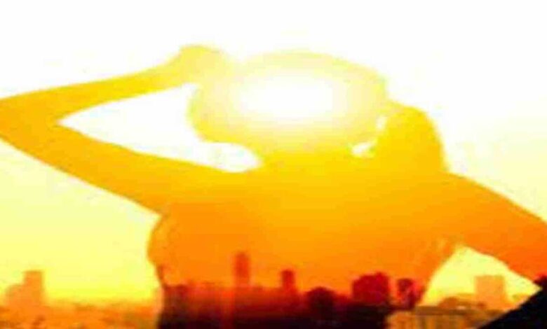 Meteorological Department in Delhi issues heat wave warning till May 21