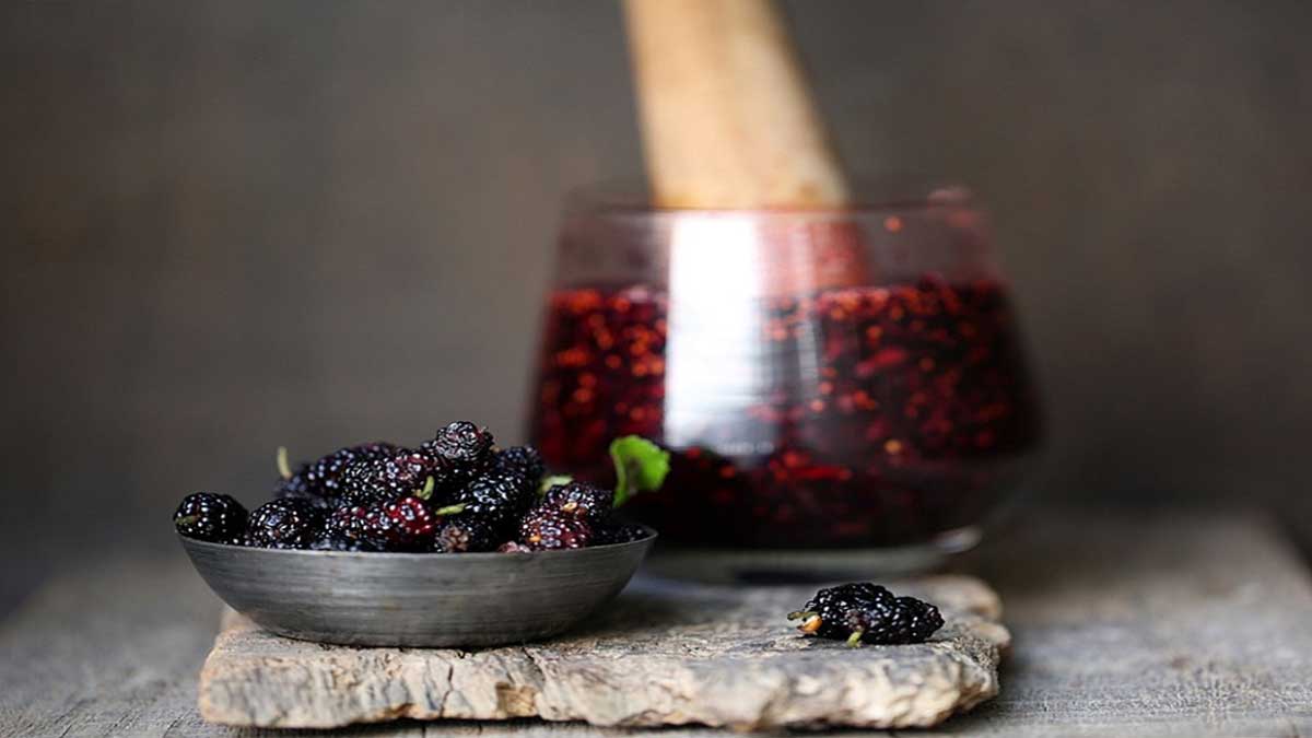 Mulberry 5 Sweet and Savory Mulberry Recipes for Summer