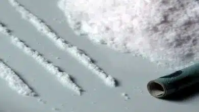 Mumbai Crime Branch seized 'heroin' worth 1.12 cr