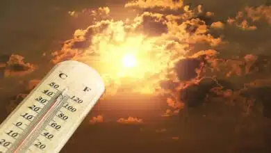 Temperature reached 50'C in Rajasthan, severe heat will continue for next 2-3 days