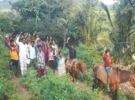 Tribal people protest by traveling on horse in Visakhapatnam