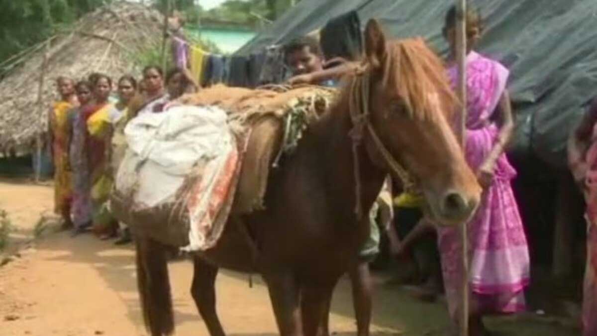 Tribal people protest by traveling on horse in Visakhapatnam