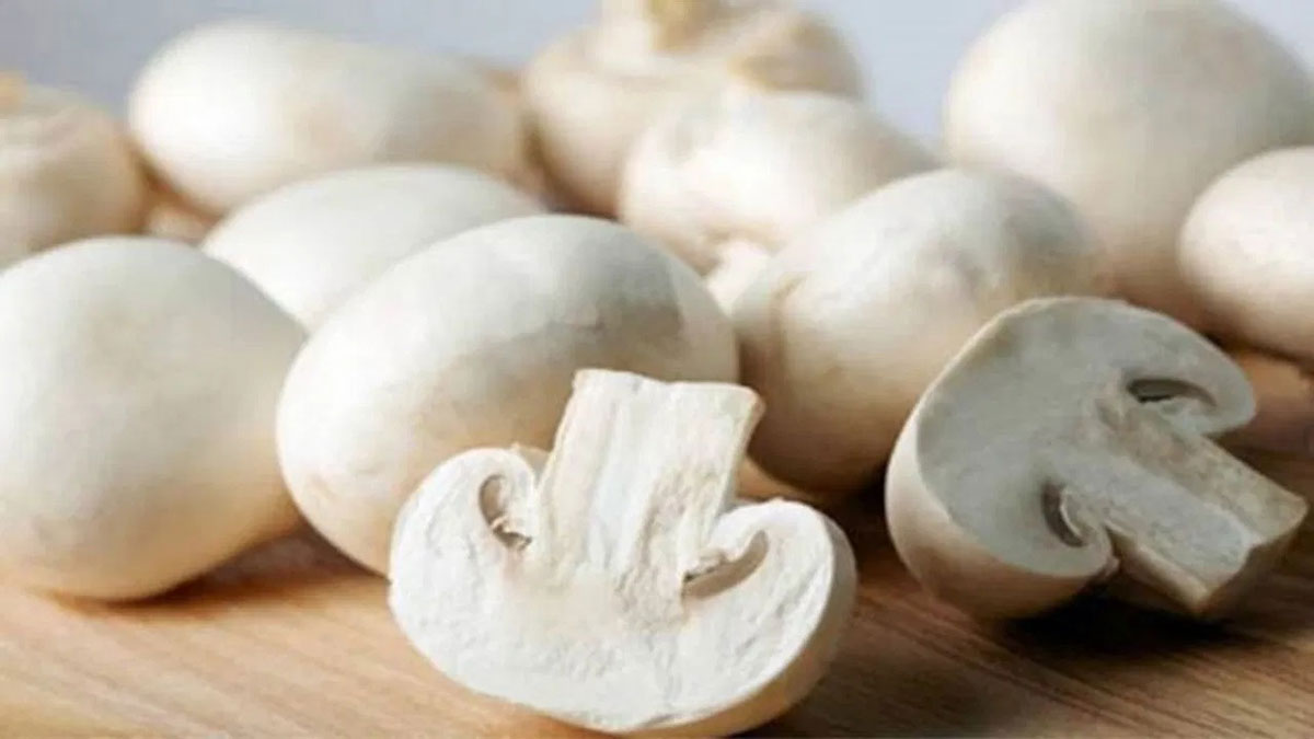 What are the benefits and disadvantages of eating Mushrooms