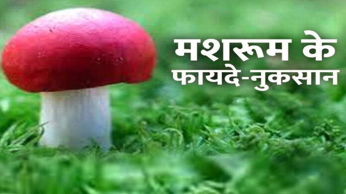 What are the benefits and disadvantages of eating Mushrooms