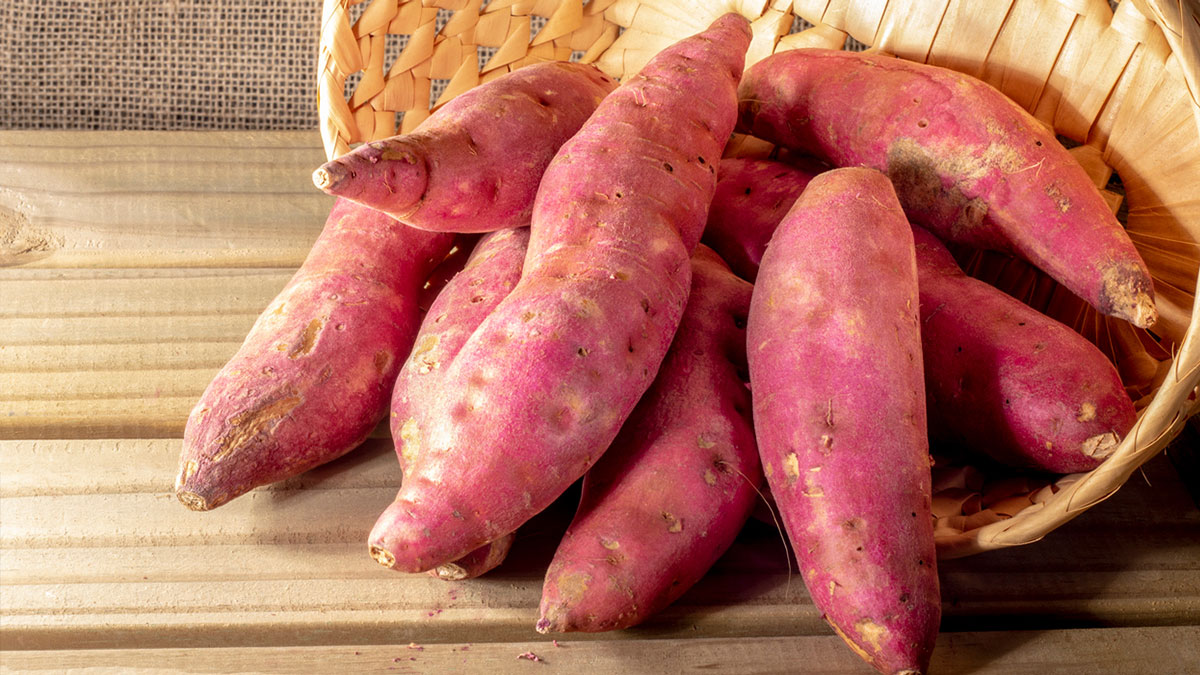 What are the benefits of eating Sweet potatoes