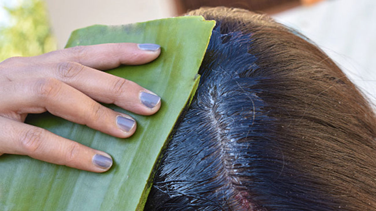 What happens if you apply aloe vera on hair at night