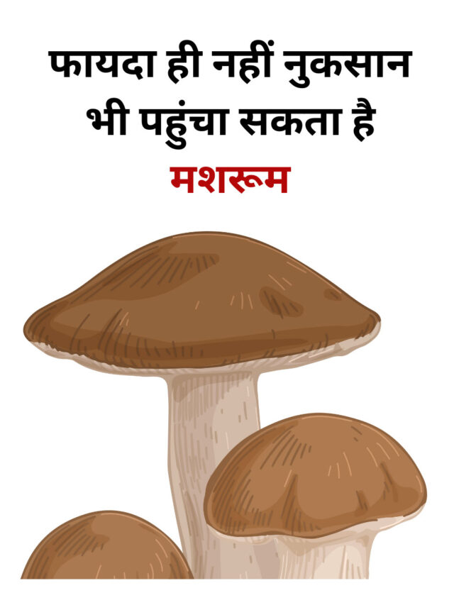 Mushrooms can not only be beneficial but also cause harm.