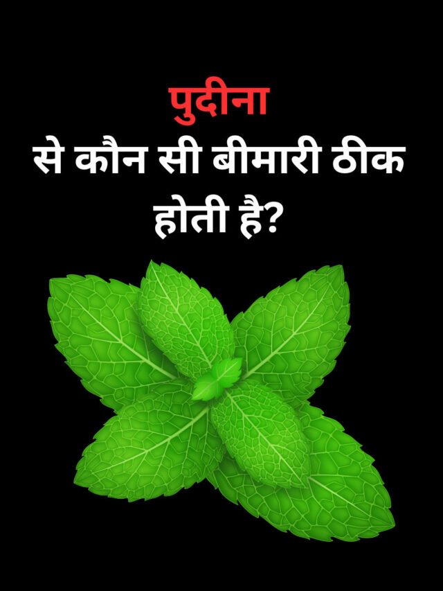 Which disease is cured by mint?