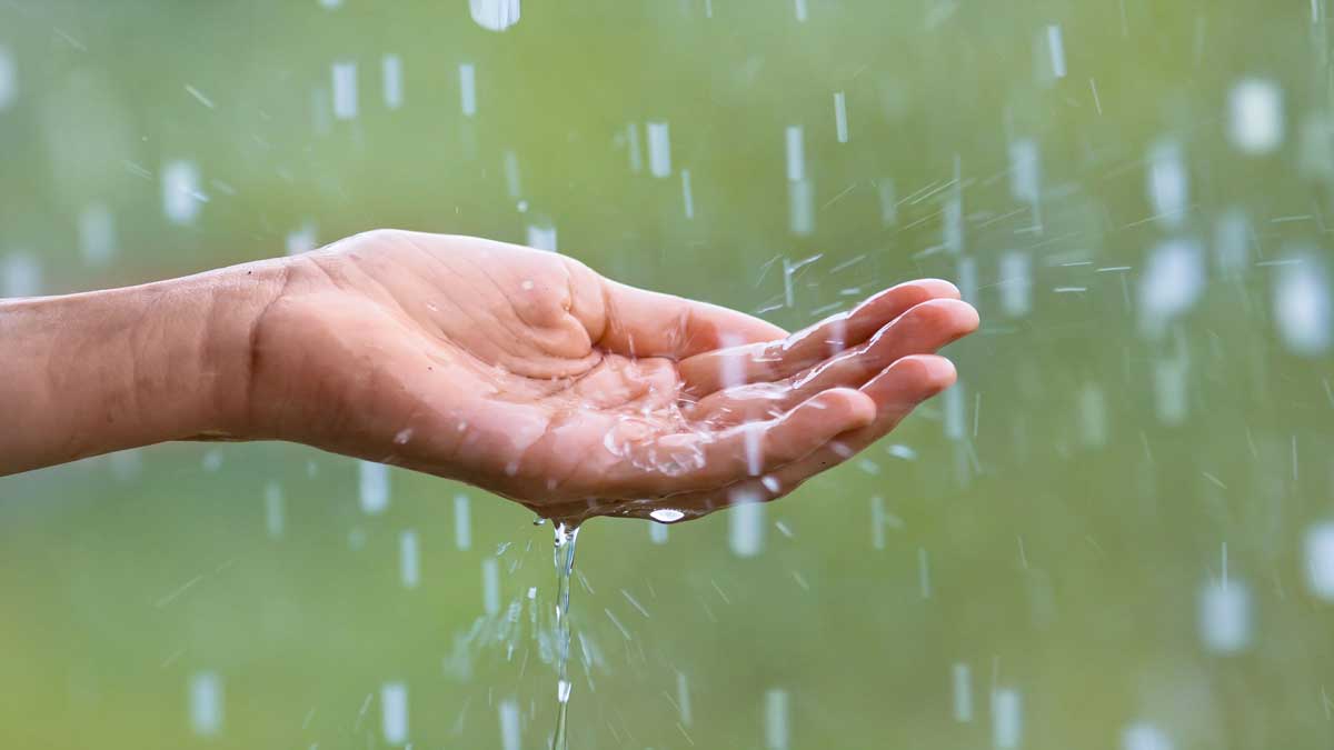 heat wave in West Bengal, Forecast of and rains predicted in south states