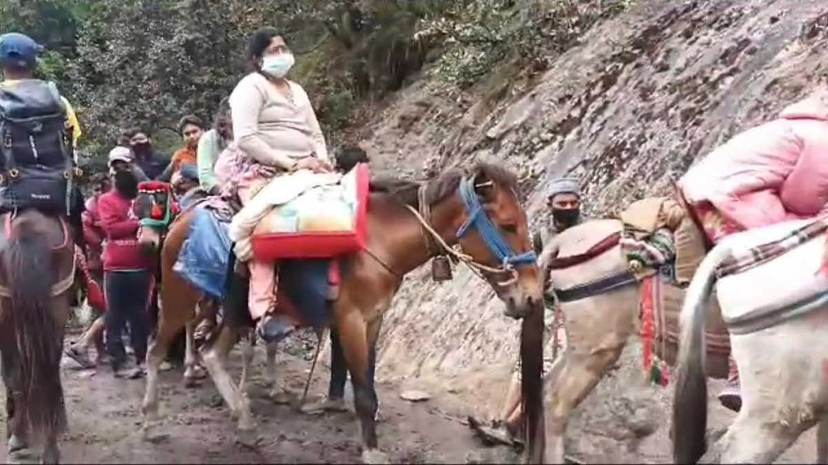 Orders issued to limit the use of horses mules for Char Dham Yatra in Uttarkashi