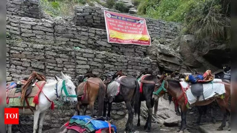 Uttarkashi में चार धाम यात्रा के लिए घोड़ों, खच्चरों के उपयोग को सीमित करने का  आदेश