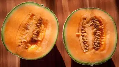 10 reasons to enjoy Muskmelon everyday