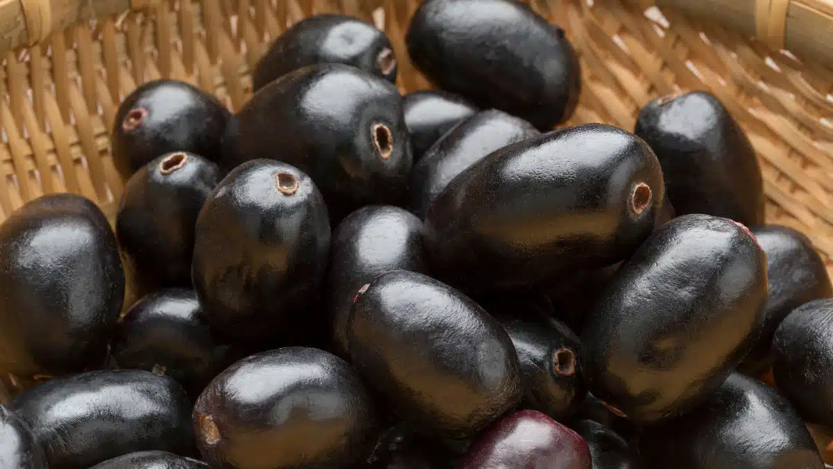 4 benefits of drinking jamun juice daily