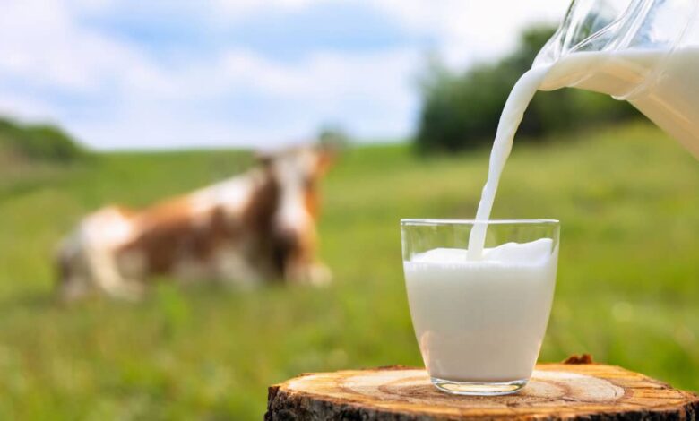 5 biggest benefits of eating Makhana mixed with milk
