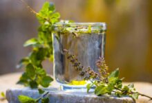 5 health benefits of drinking Tulsi water