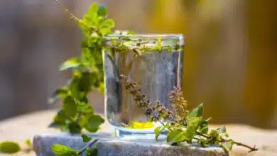 5 health benefits of drinking Tulsi water