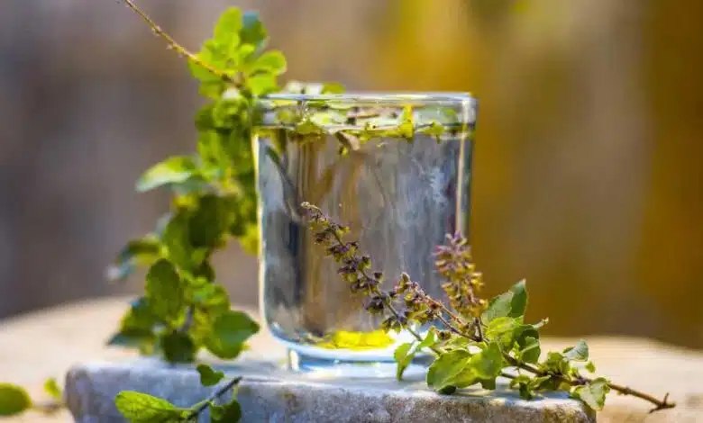 5 health benefits of drinking Tulsi water