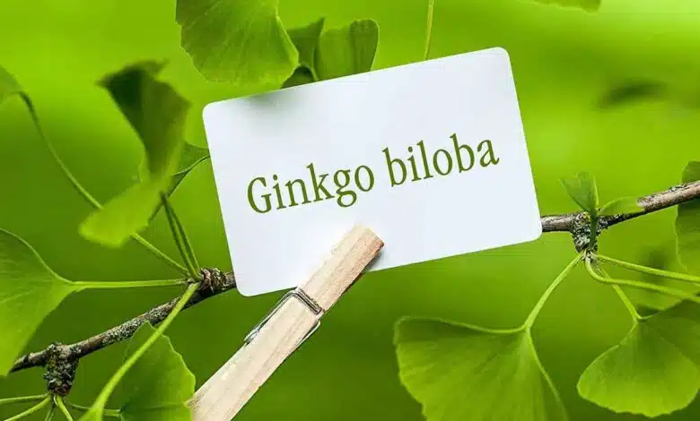 Sattu का शरबत ही नहीं इससे बनने वाली 5 चीजें भी हैं, स्वाद ऐसा कि बार-बार मांगकर खाएंगे Sattu पोषण का एक पावरहाउस है, जो उच्च प्रोटीन, फाइबर और आवश्यक खनिजों की पेशकश करता है। ये पाँच रेसिपी- सत्तू पराठा, लिट्टी चोखा, सत्तू कचौरी, सत्तू लड्डू और सत्तू चीला- इस साधारण सामग्री की बहुमुखी प्रतिभा को प्रदर्शित करते हैं।#satturecipe #sattupowder #newsnow24x7 https://newsnow24x7.com/sattu-is-not-just-a-drink-5-other-things-are-made-from-it/