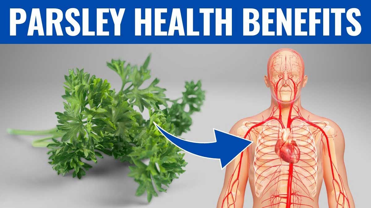 7 Health Benefits of Parsley and How to Use More