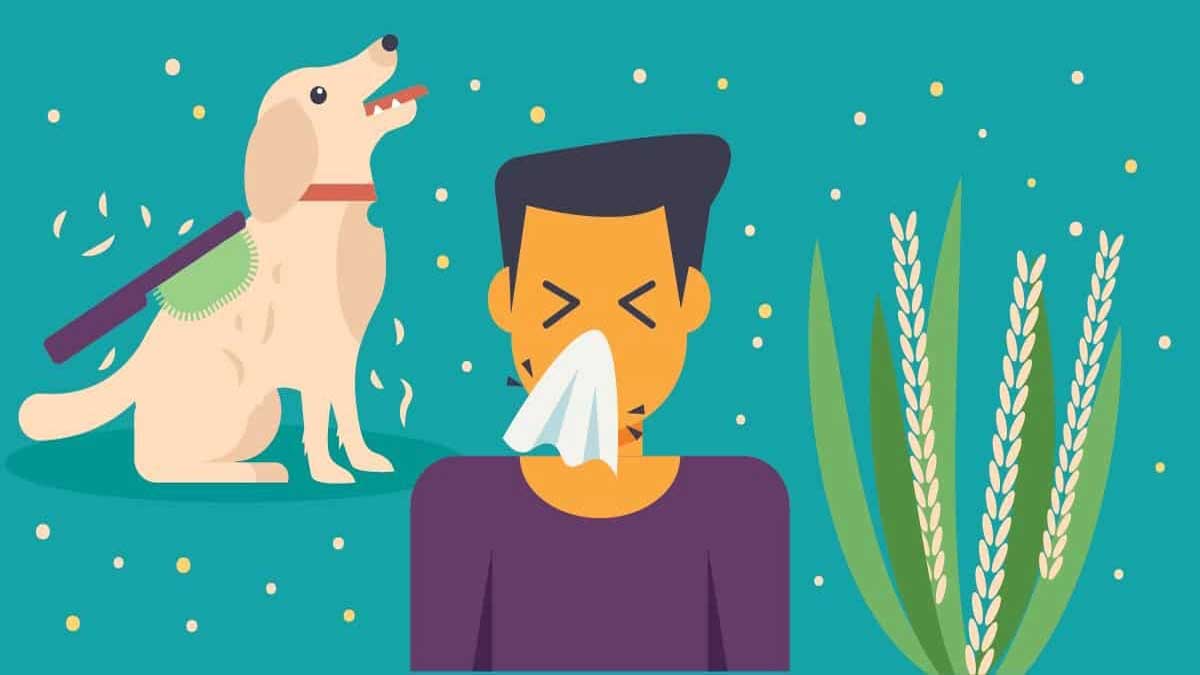 8 Natural Remedies for Allergies.
