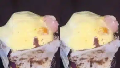 A severed human finger found in ice cream ordered online in Mumbai