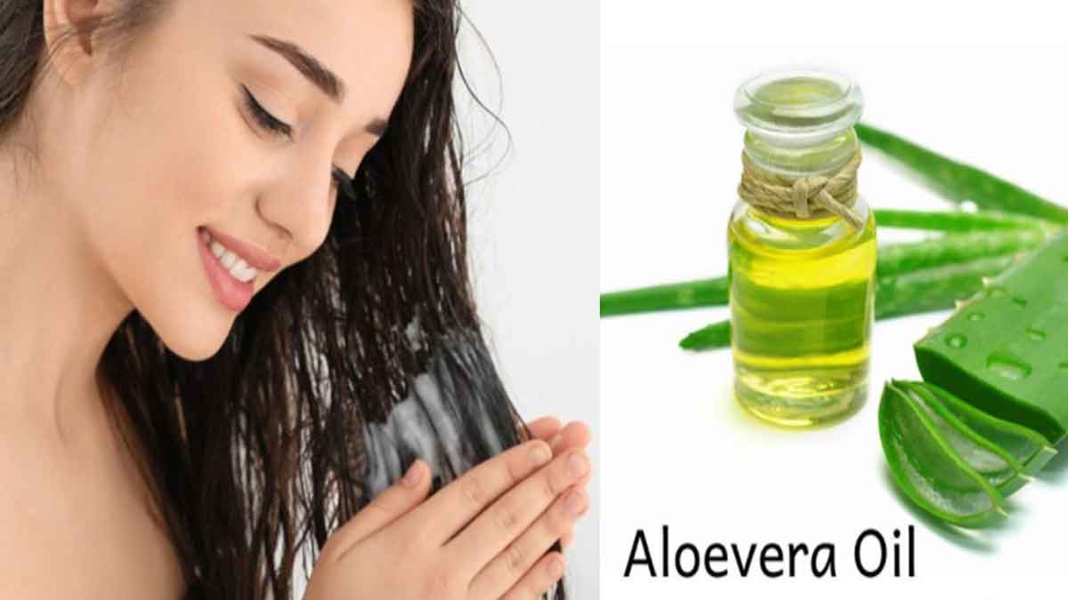 Aloe vera oil for long and thick hair, prepare it like this