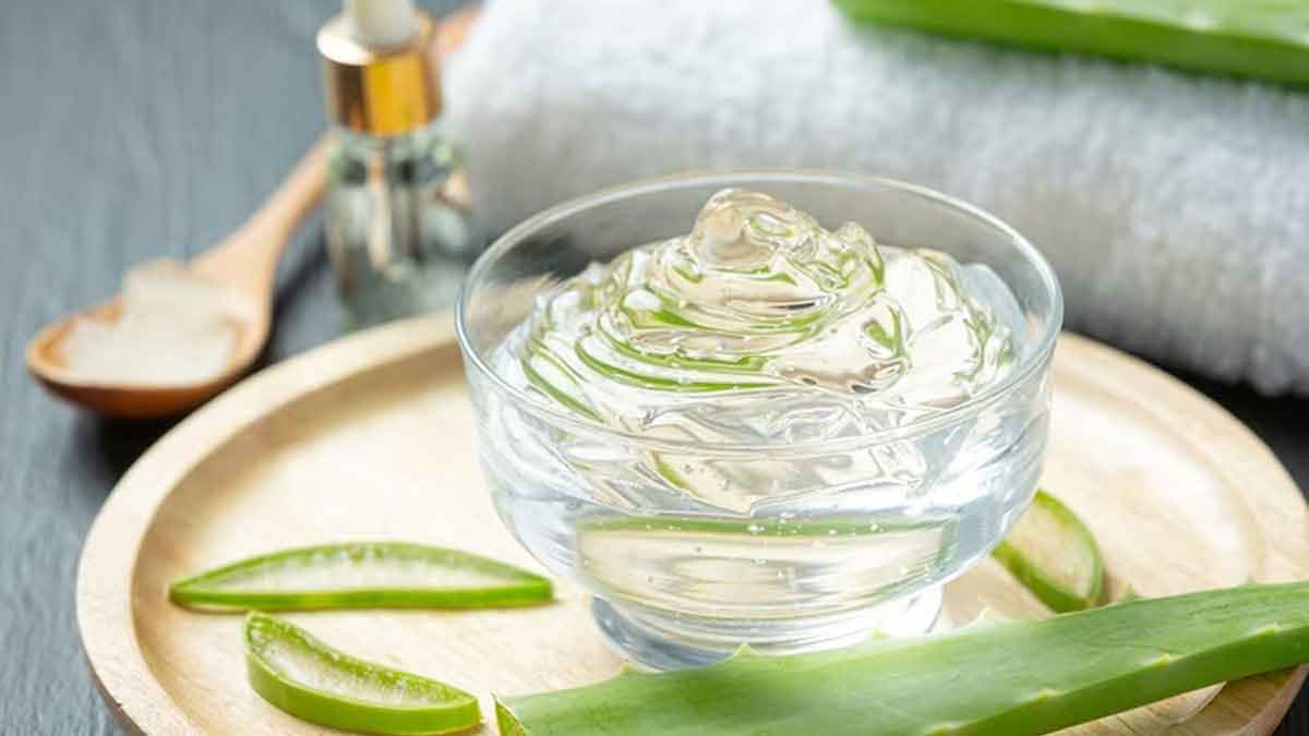 Aloe vera oil for long and thick hair, prepare it like this