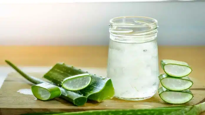 Aloe vera oil for long and thick hair, prepare it like this