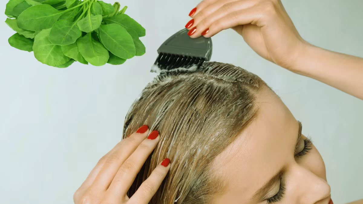 Apply this green leaf hair mask for silky long hair