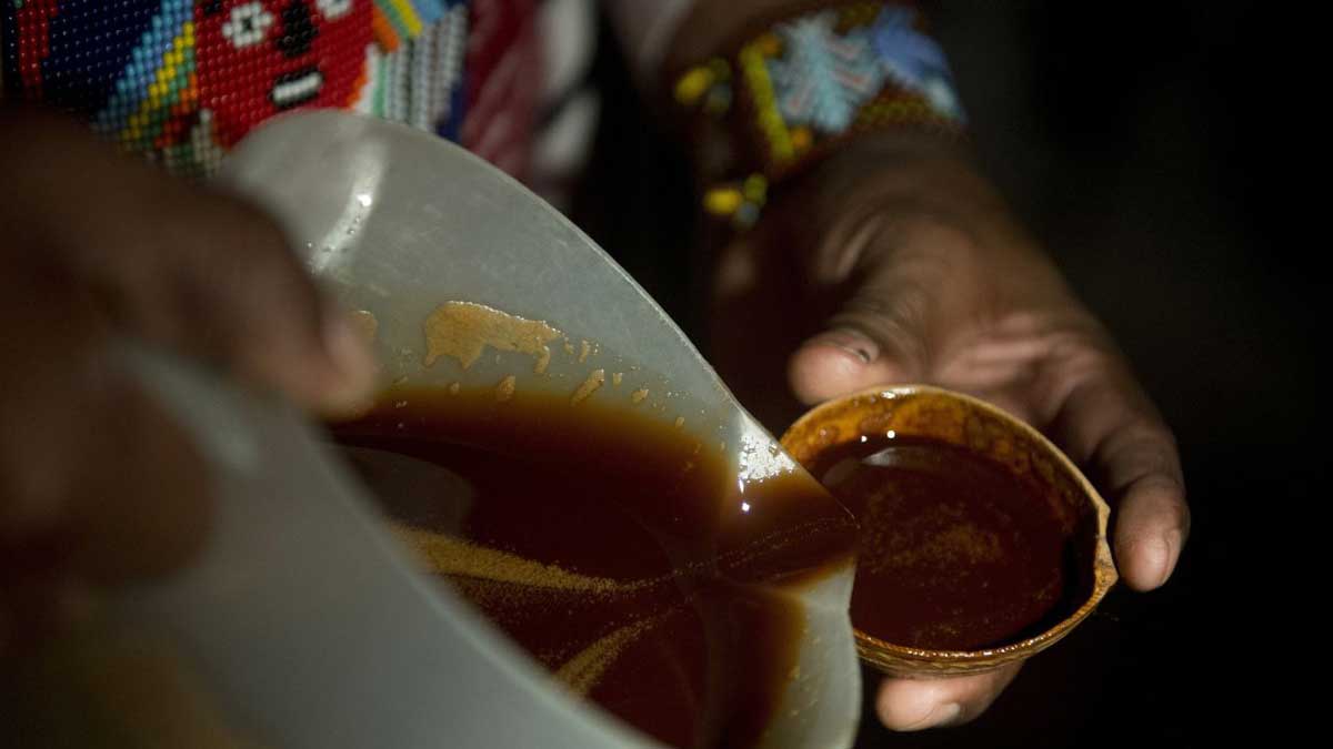 Ayahuasca is a psychoactive drink and medicinal properties