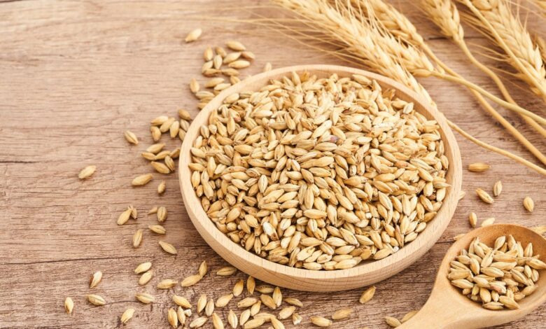 Barley porridge is beneficial in reducing obesity, it provides these other health benefits